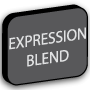 Expression Blend