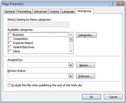 Expression Web Workgroup tab