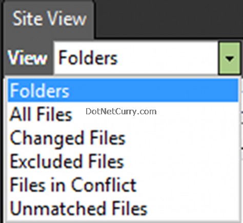 Expression Web Site View