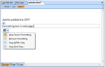 Expression Web Paste Formatting menu