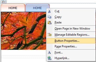 Button Properties