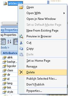 Expression Web Delete from Folder List pane