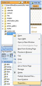 Expression Web Page Properties