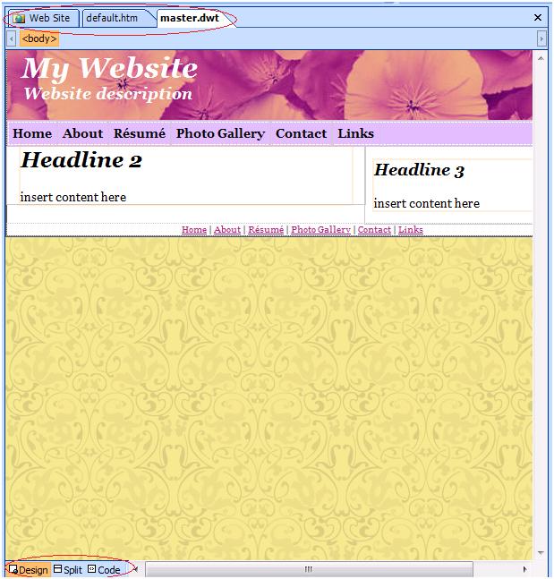 ExpressionWeb Editing Window
