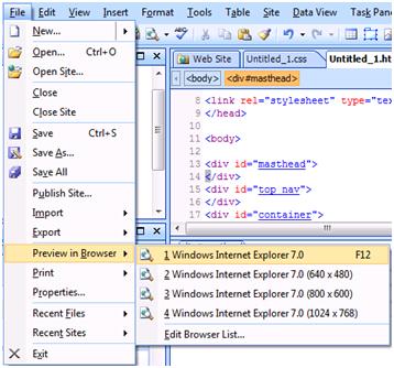 Expression Web Preview options