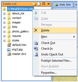 Expression Web Delete website