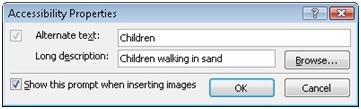 ExpressionWeb Accessibility window