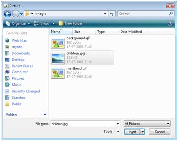 ExpressionWeb Picture dialog box