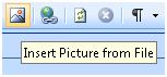 ExpressionWeb Insert Picture button