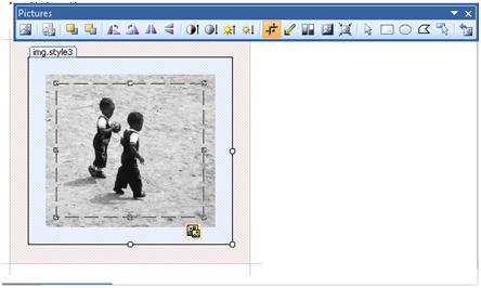 ExpressionWeb Crop Image