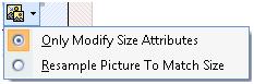 ExpressionWeb Resample Picture Option