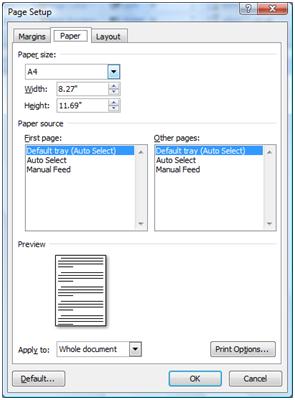 Page Setup Paper tab