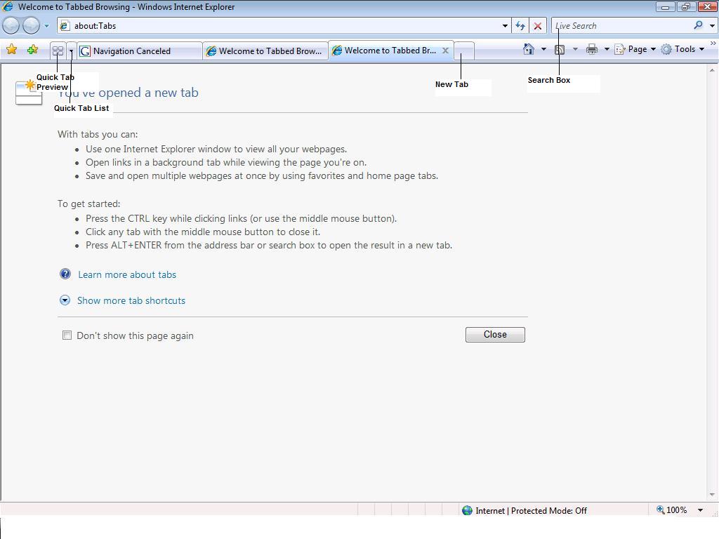 IE7 preview